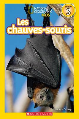 Book cover for National Geographic Kids: Les Chauves-Souris (Niveau 3)
