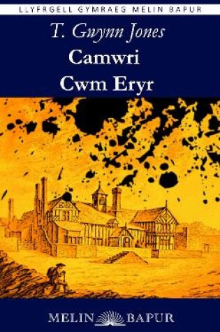 Cover of Camwri Cwm Eryr