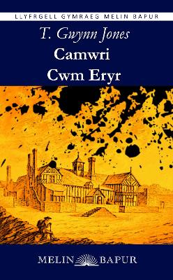 Book cover for Camwri Cwm Eryr