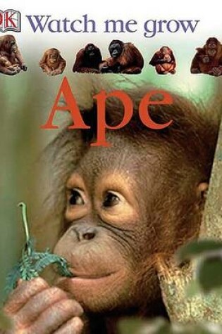Cover of Ape