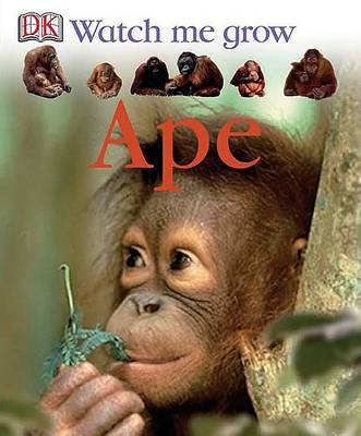 Book cover for Ape