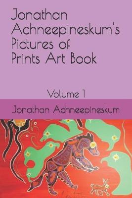 Cover of Jonathan Achneepineskum's Art Book