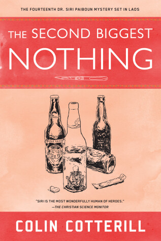 Book cover for The Second Biggest Nothing