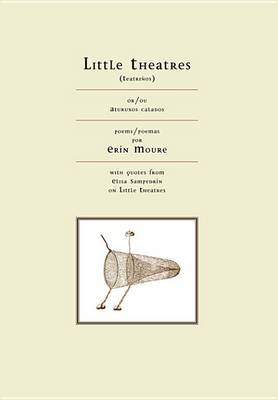 Book cover for Little Theatres
