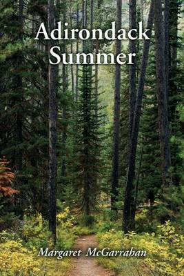 Book cover for Adirondack Summer
