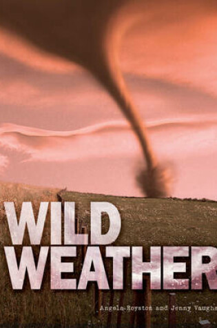 Cover of Great Big Book of Wild Weather