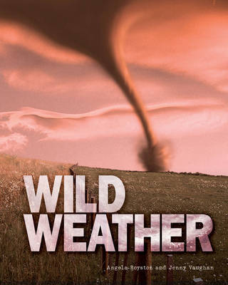 Book cover for Great Big Book of Wild Weather