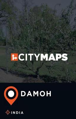 Book cover for City Maps Damoh India