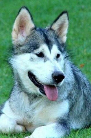 Cover of Alaskan Malamute Relaxing in the Grass Journal