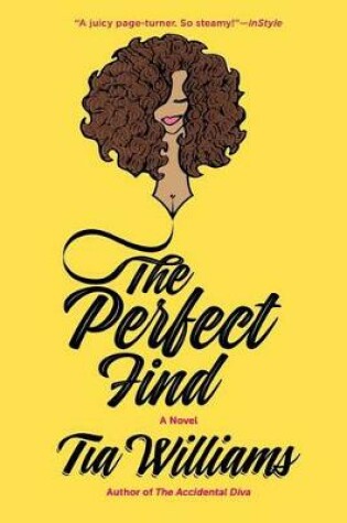 Cover of The Perfect Find