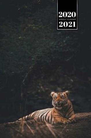 Cover of Tiger Week Planner Weekly Organizer Calendar 2020 / 2021 - Glittering Light