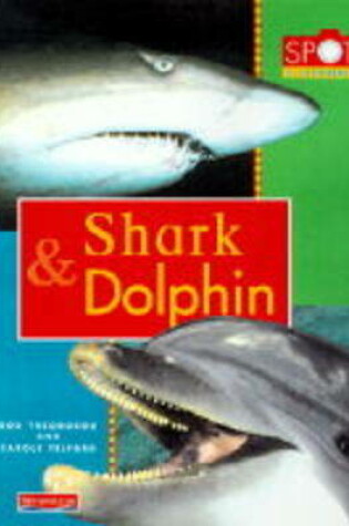 Cover of Spot the Difference: Shark and Dolphin      (Paperback)