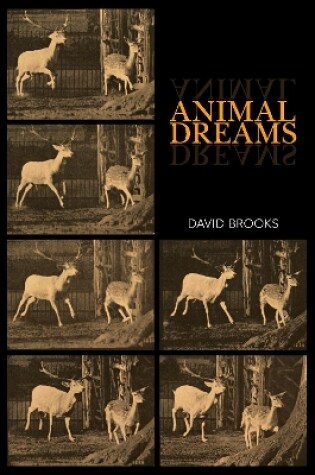 Cover of Animal Dreams