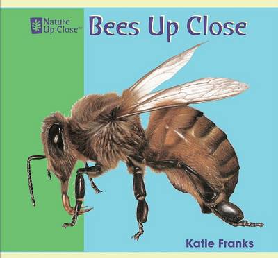 Book cover for Bees Up Close