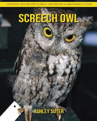 Book cover for Screech Owl