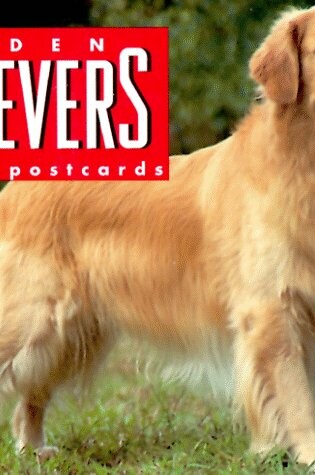 Cover of Golden Retrievers Postcard Book