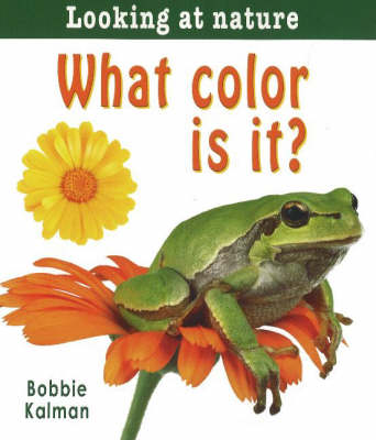 Cover of What Color Is it