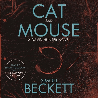 Book cover for Cat and Mouse