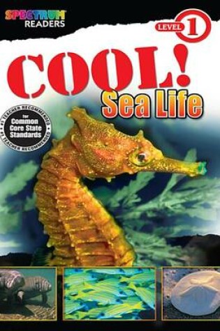 Cover of Cool! Sea Life