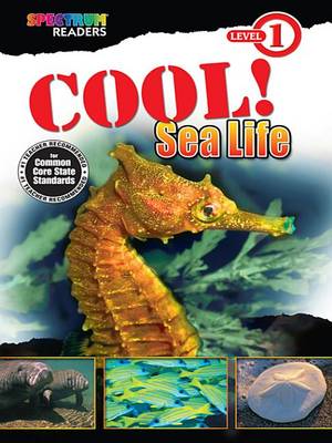 Book cover for Cool! Sea Life