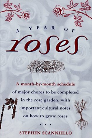 Cover of A Year of Roses