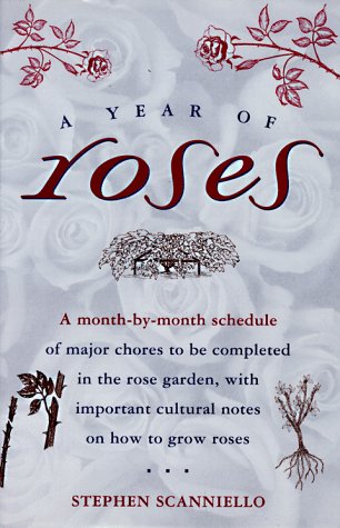 Book cover for A Year of Roses