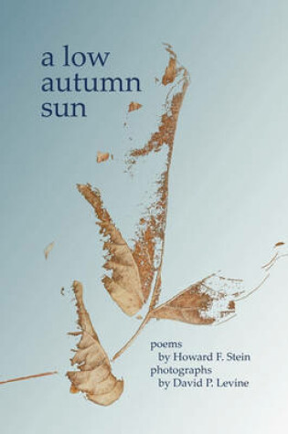 Cover of A Low Autumn Sun