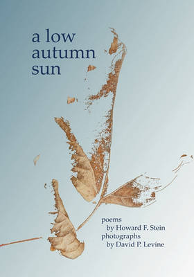 Book cover for A Low Autumn Sun