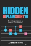 Book cover for Hidden In Plain Sight 10