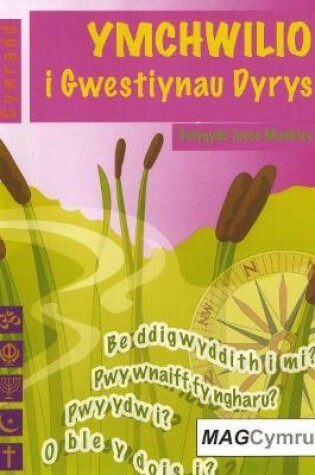 Cover of Cyfres Ymchwilio i Themâu: Ymchwilio i Gwestiynau Dyrys