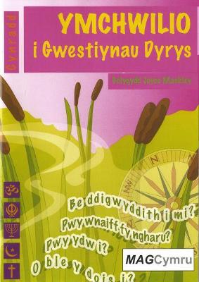 Book cover for Cyfres Ymchwilio i Themâu: Ymchwilio i Gwestiynau Dyrys