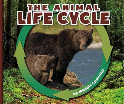Cover of The Animal Life Cycle