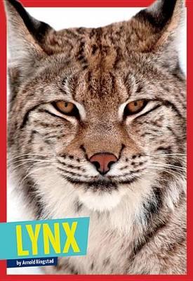 Cover of Lynx