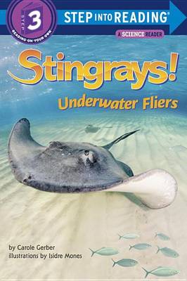 Book cover for Stingrays!