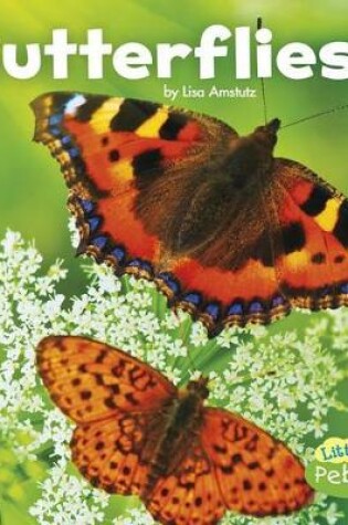 Cover of Butterflies (Little Critters)