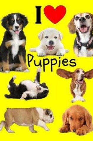 Cover of I Love Puppies