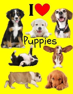 Cover of I Love Puppies
