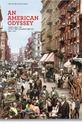 Cover of An American Odyssey