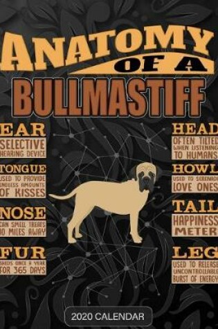 Cover of Anatomy Of A Bullmastiff
