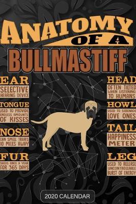 Book cover for Anatomy Of A Bullmastiff