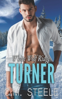 Book cover for Turner