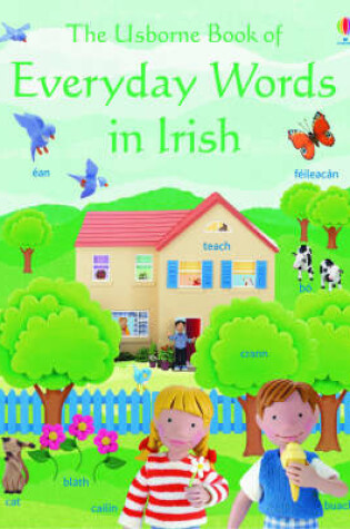 Cover of The Usborne Book of Everyday Words in Irish