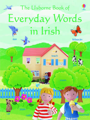 Book cover for The Usborne Book of Everyday Words in Irish