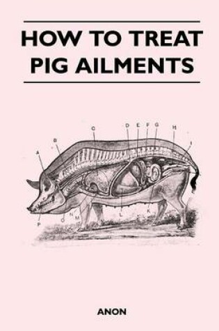 Cover of How to Treat Pig Ailments