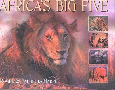 Book cover for Africa's Big Five