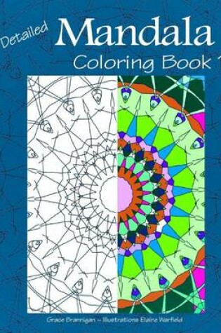 Cover of Detailed Mandala Coloring Book 1