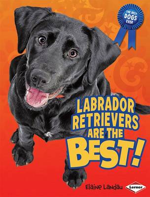 Book cover for Labrador Retrievers Are the Best!