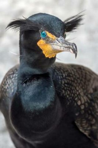 Cover of Double Crested Cormorant Bird Journal