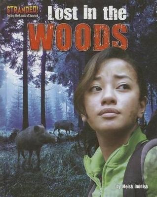 Book cover for Lost in the Woods