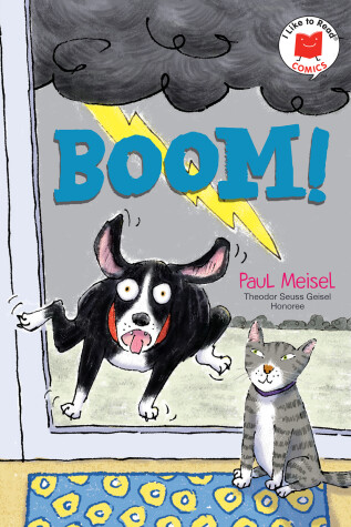 Book cover for Boom!